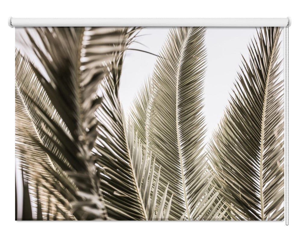 Whispers of Palms Printed Picture Photo Roller Blind - 1X2518831 - Art Fever - Art Fever