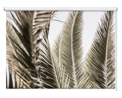 Whispers of Palms Printed Picture Photo Roller Blind - 1X2518831 - Art Fever - Art Fever