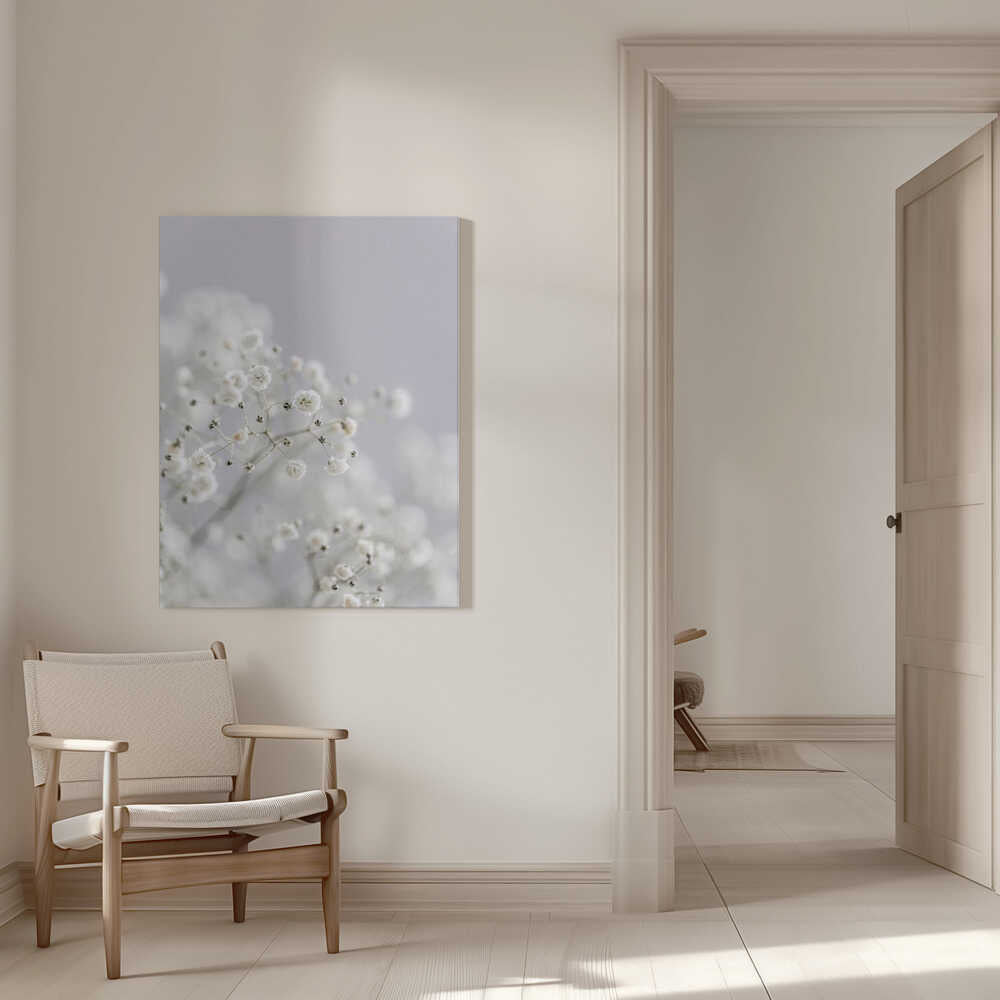 White Breath Flowers Canvas Print Wall Art 1X3108837 - ART FEVER - Art Fever