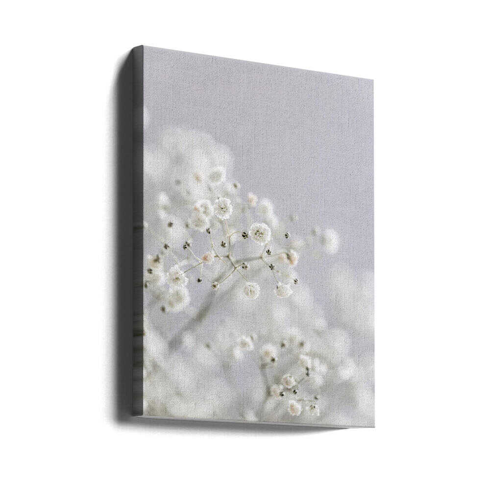 White Breath Flowers Canvas Print Wall Art 1X3108837 - ART FEVER - Art Fever