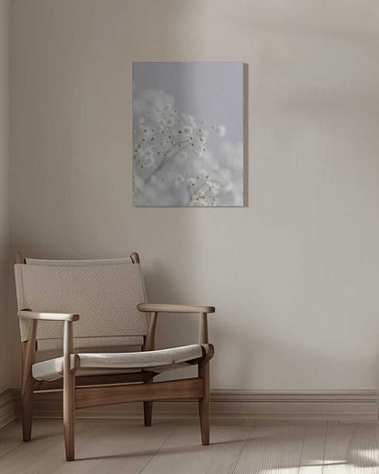 White Breath Flowers Canvas Print Wall Art 1X3108837 - ART FEVER - Art Fever