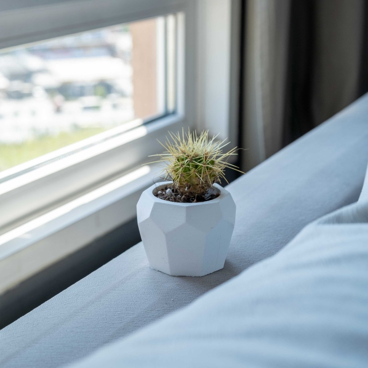 WHITE CONCRETE BEE HOME POT - Gloria Home - Art Fever