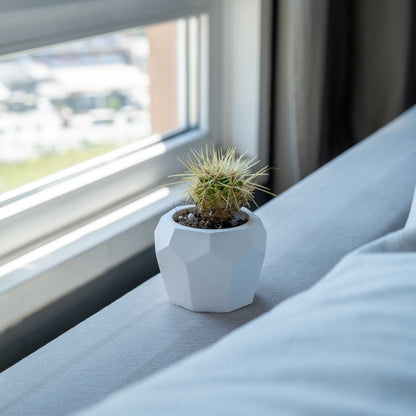 WHITE CONCRETE BEE HOME POT - Gloria Home - Art Fever