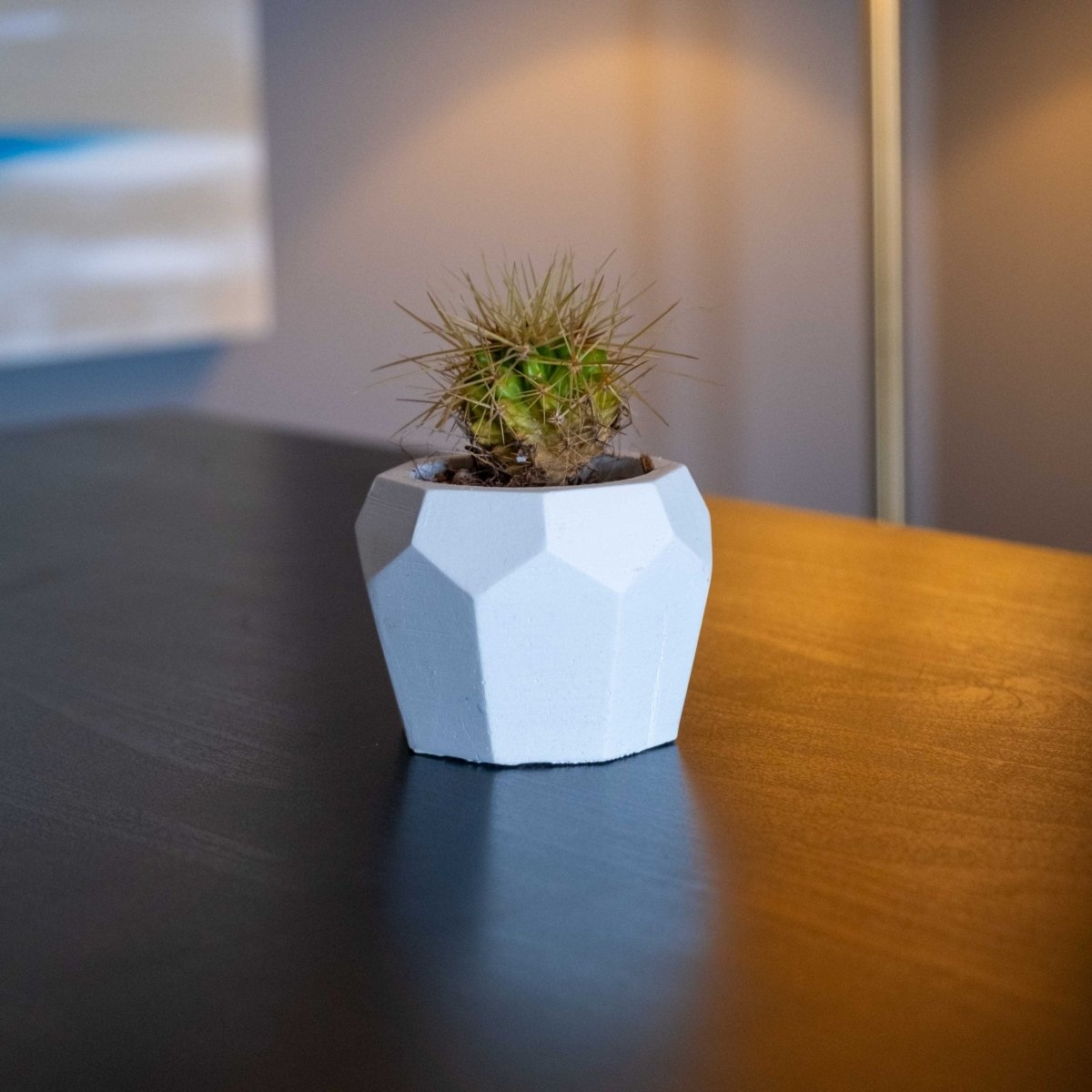 WHITE CONCRETE BEE HOME POT - Gloria Home - Art Fever