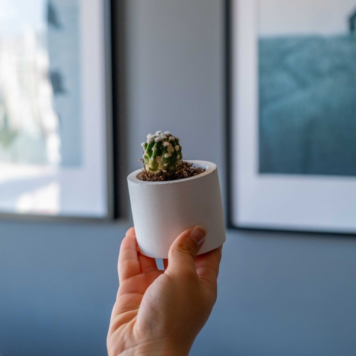 WHITE CONCRETE CYLINDER TEALIGHT HOLDER, CONCRETE CYLINDER POT - Gloria Home - Art Fever