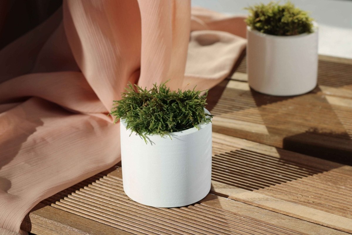 WHITE CONCRETE CYLINDER TEALIGHT HOLDER, CONCRETE CYLINDER POT - Gloria Home - Art Fever