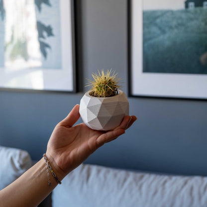 WHITE CONCRETE DIAGONAL POT PLANTER - Gloria Home - Art Fever