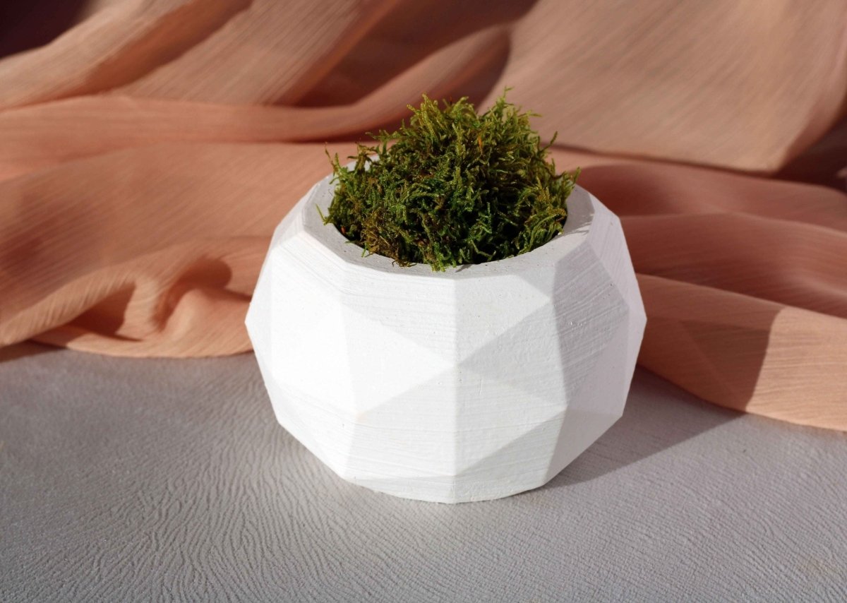 WHITE CONCRETE DIAGONAL POT PLANTER - Gloria Home - Art Fever