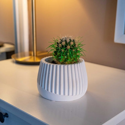 WHITE CONCRETE MUG POT PLANTER - Gloria Home - Art Fever