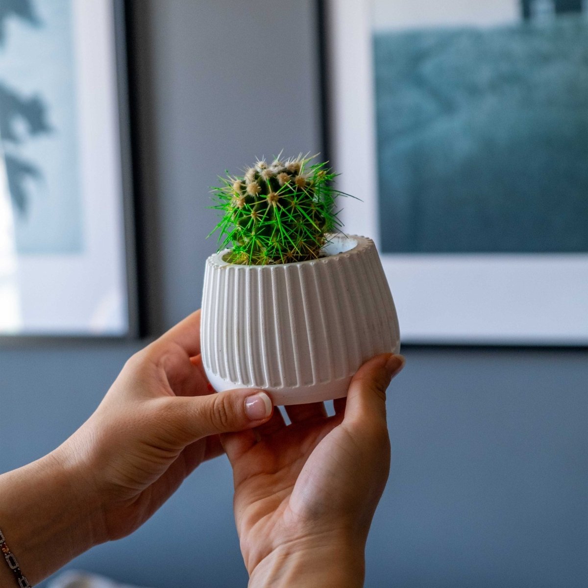 WHITE CONCRETE MUG POT PLANTER - Gloria Home - Art Fever