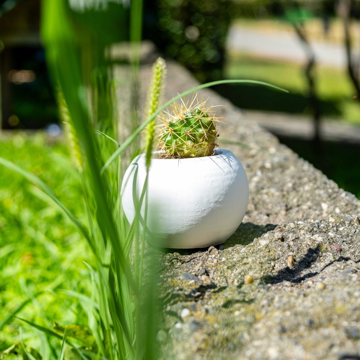 WHITE CONCRETE ROUND POT - Gloria Home - Art Fever