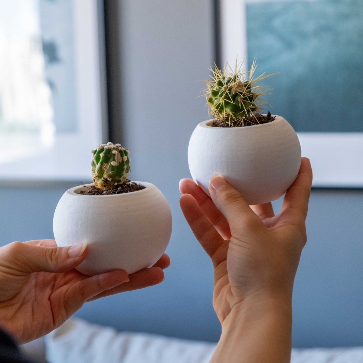 WHITE CONCRETE ROUND POT - Gloria Home - Art Fever