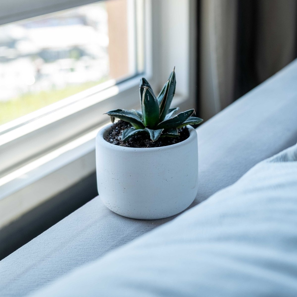 WHITE CONCRETE WIENER POT - Gloria Home - Art Fever