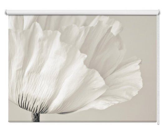 White Poppy Printed Picture Photo Roller Blind - 1X2907333 - Art Fever - Art Fever