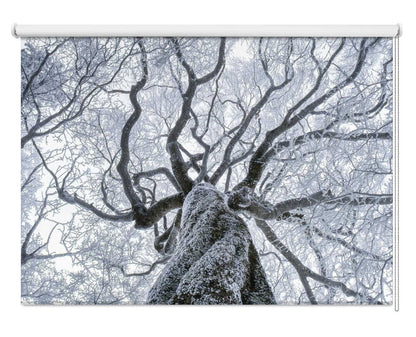 Winter Frost Tree Canopy Printed Roller Blind - 1X3254470 - Art Fever - Art Fever
