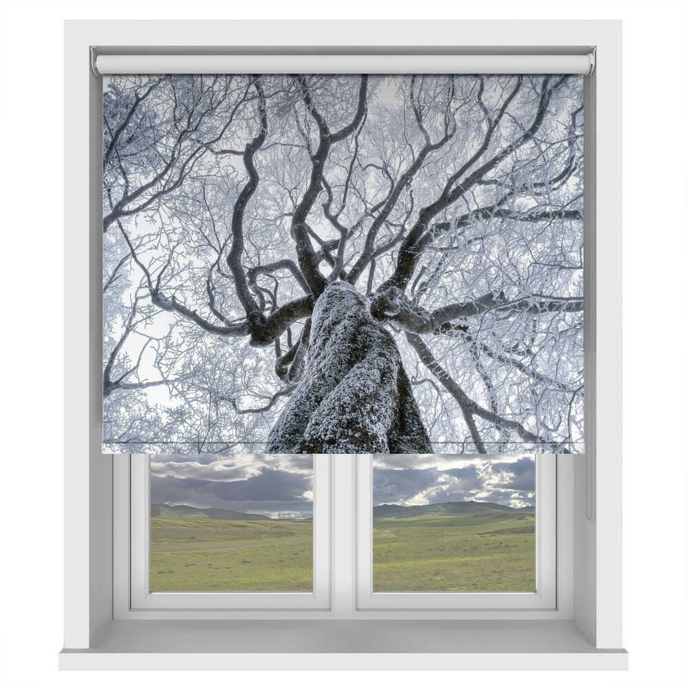 Winter Frost Tree Canopy Printed Roller Blind - 1X3254470 - Art Fever - Art Fever