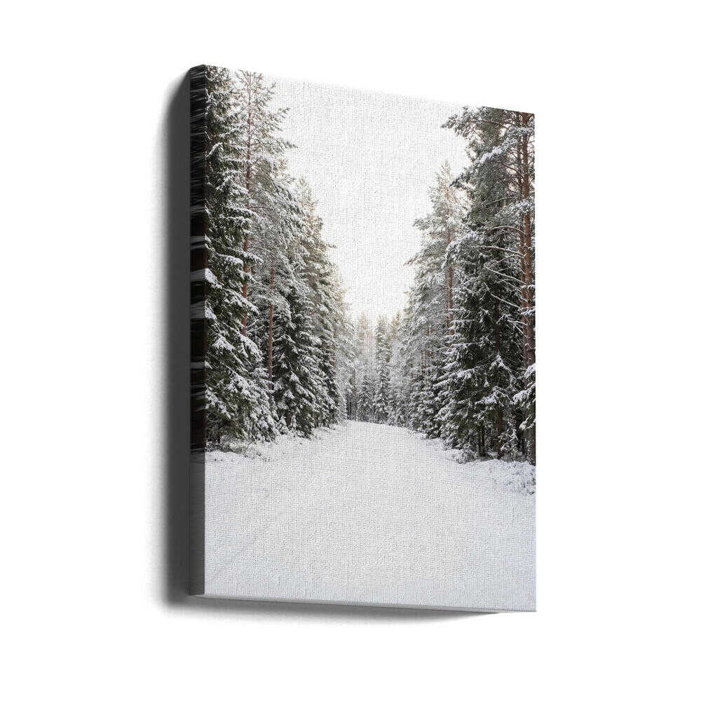 Winter Road Canvas Print Wall Art 1X3437130 - ART FEVER - Art Fever