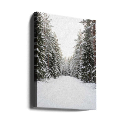 Winter Road Canvas Print Wall Art 1X3437130 - ART FEVER - Art Fever