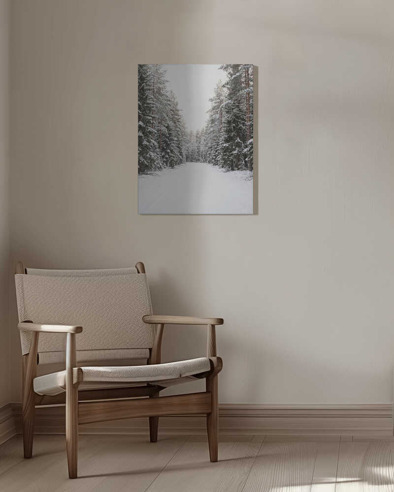 Winter Road Canvas Print Wall Art 1X3437130 - ART FEVER - Art Fever