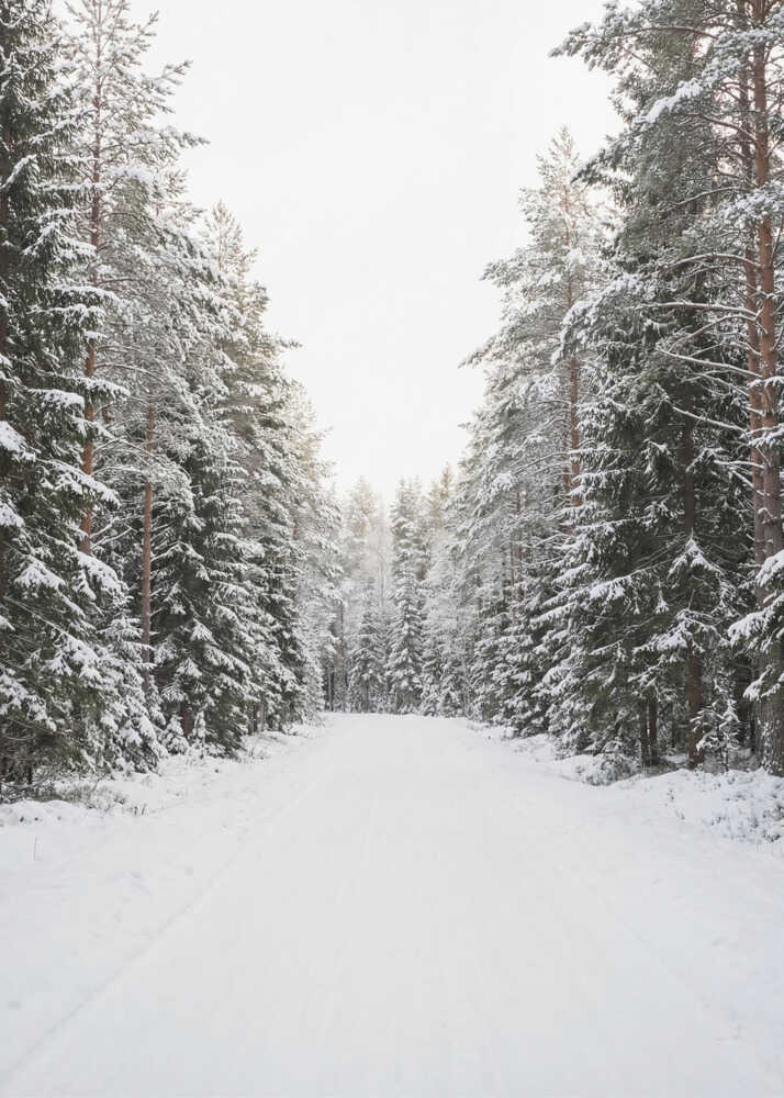 Winter Road Canvas Print Wall Art 1X3437130 - ART FEVER - Art Fever