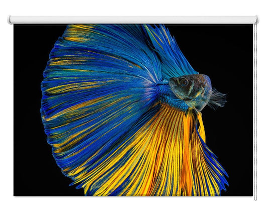 Yellow & Blue Tropical Fish Printed Picture Photo Roller Blind - 1X1904127 - Pictufy - Art Fever