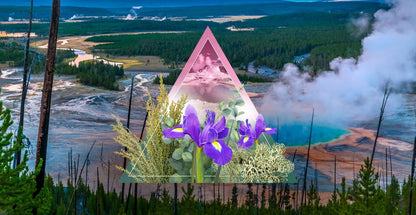 Yellowstone Fragrance Oil - LORDS Fragrance House - Art Fever