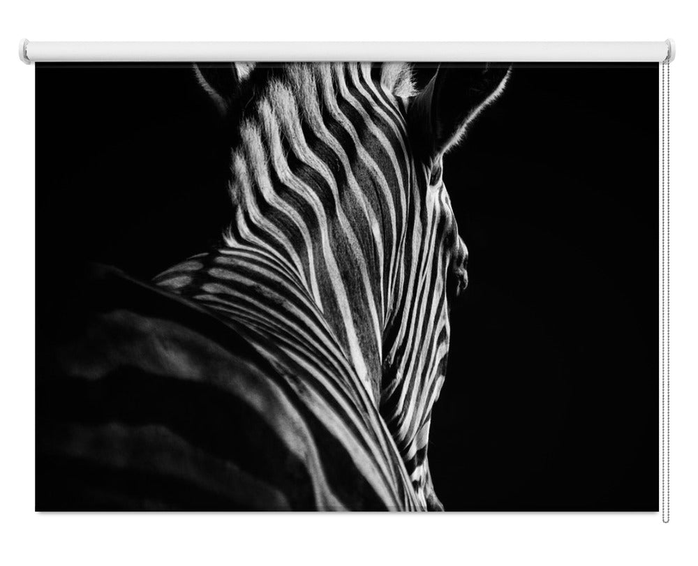 Zebra Monochrome Printed Picture Photo Roller Blind - 1X1076685 - Art Fever - Art Fever