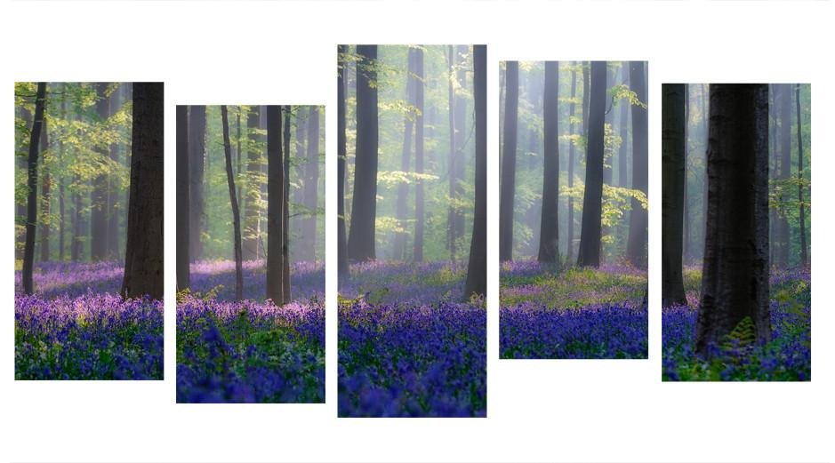 1X140381 - The Bluebell woods Multi Panel Canvas Print - Art Fever