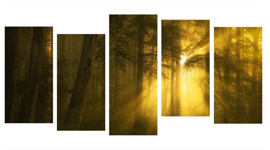 1X141776 - Morning Sunrise through the Woods Multi Panel Canvas Print - Art Fever