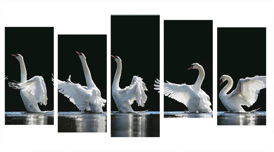 1X271972 - The 5 Swans Multi Panel Canvas Print - Art Fever