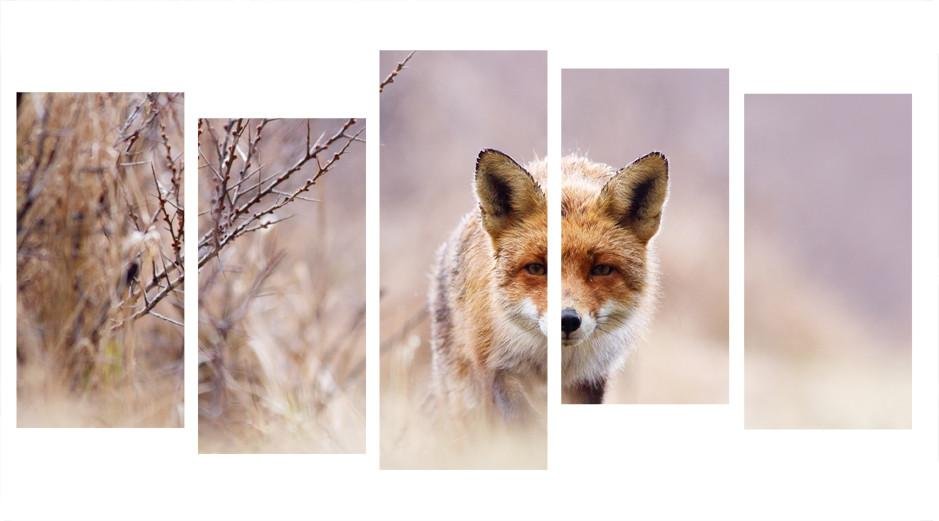 1X313065 - The Red Fox Multi Panel Canvas Print - Art Fever