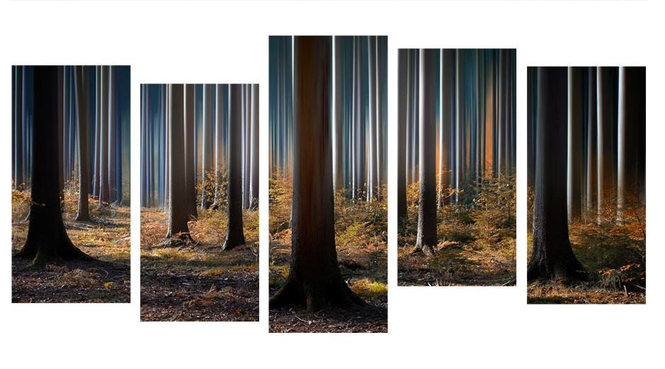 1X341003 - The Mystics Woods at Night Multi Panel Canvas Print - Art Fever