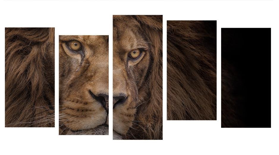 1X375633 - Beautiful Barbary Lion Multi Panel Canvas Print - Art Fever