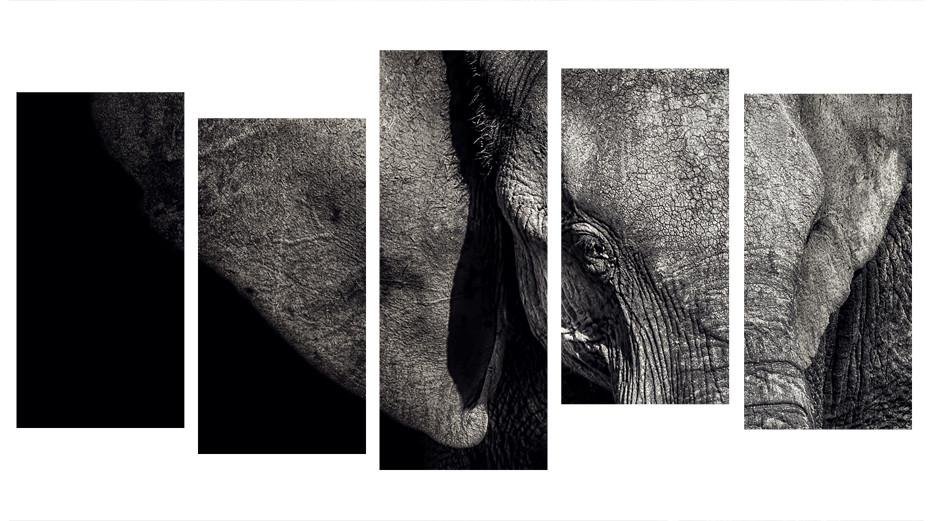 1X482232 - The Elephant Close Up Multi Panel Canvas Print - Art Fever