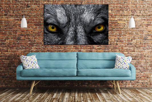 Wild Wolf Eyes Image Printed Onto A Single Panel Canvas - SPC136