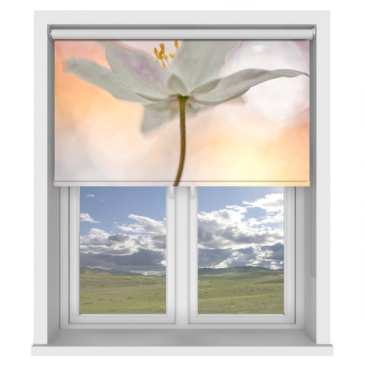 A Sip of Art Floral Peach Tone Printed Picture Photo Roller Blind - 1X24615 - Art Fever - Art Fever