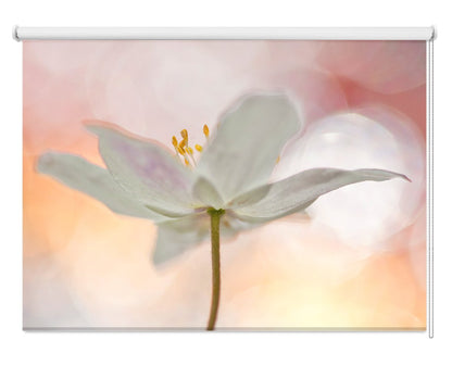 A Sip of Art Floral Peach Tone Printed Picture Photo Roller Blind - 1X24615 - Art Fever - Art Fever