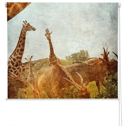 african animals Grunge Effect Printed Picture Photo Roller Blind - RB175 - Art Fever