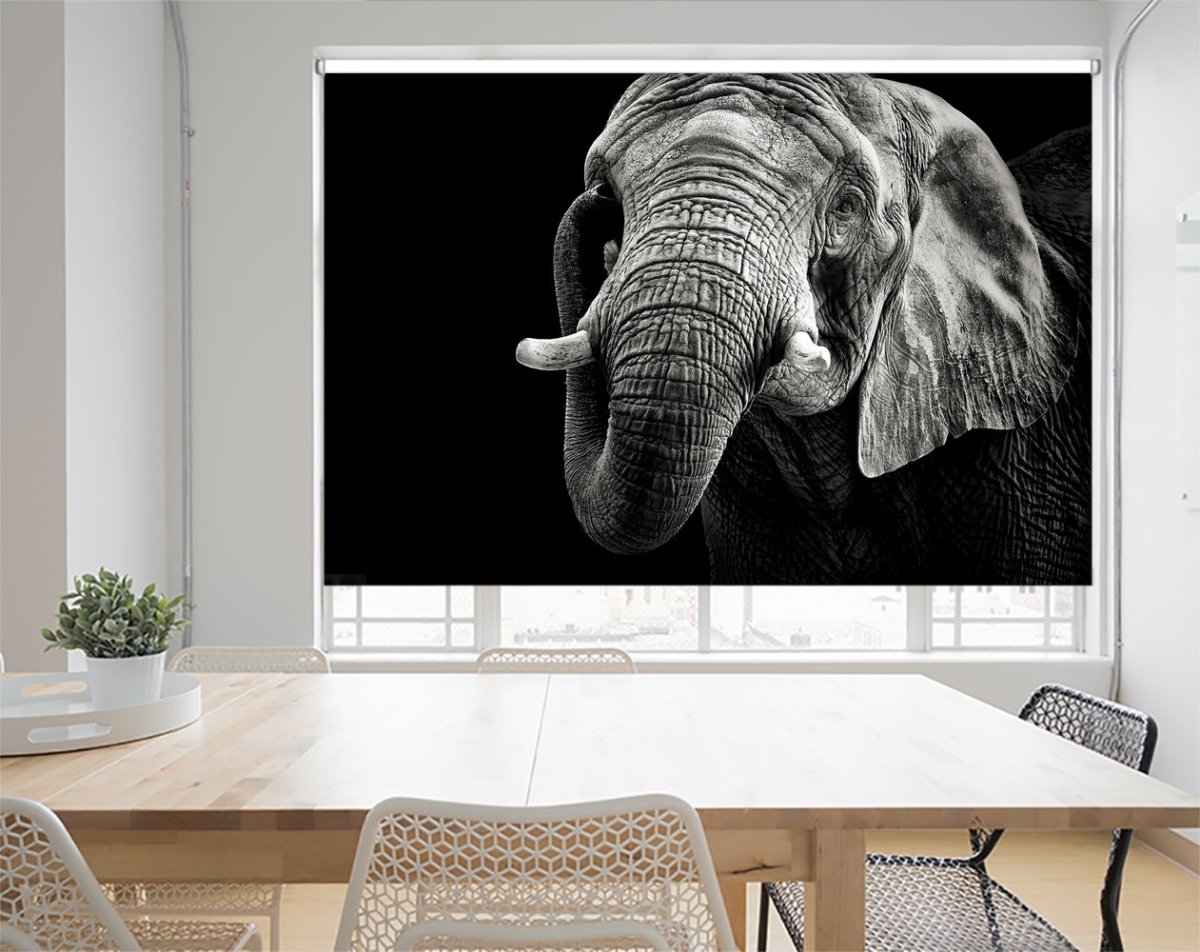 African Elephant Printed Picture Photo Roller Blind - 1X1653858 - Art Fever - Art Fever