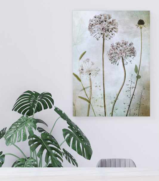 Allium Botanical Close Up Canvas Print Wall Art - 1X1044210 - Art Fever - Art Fever
