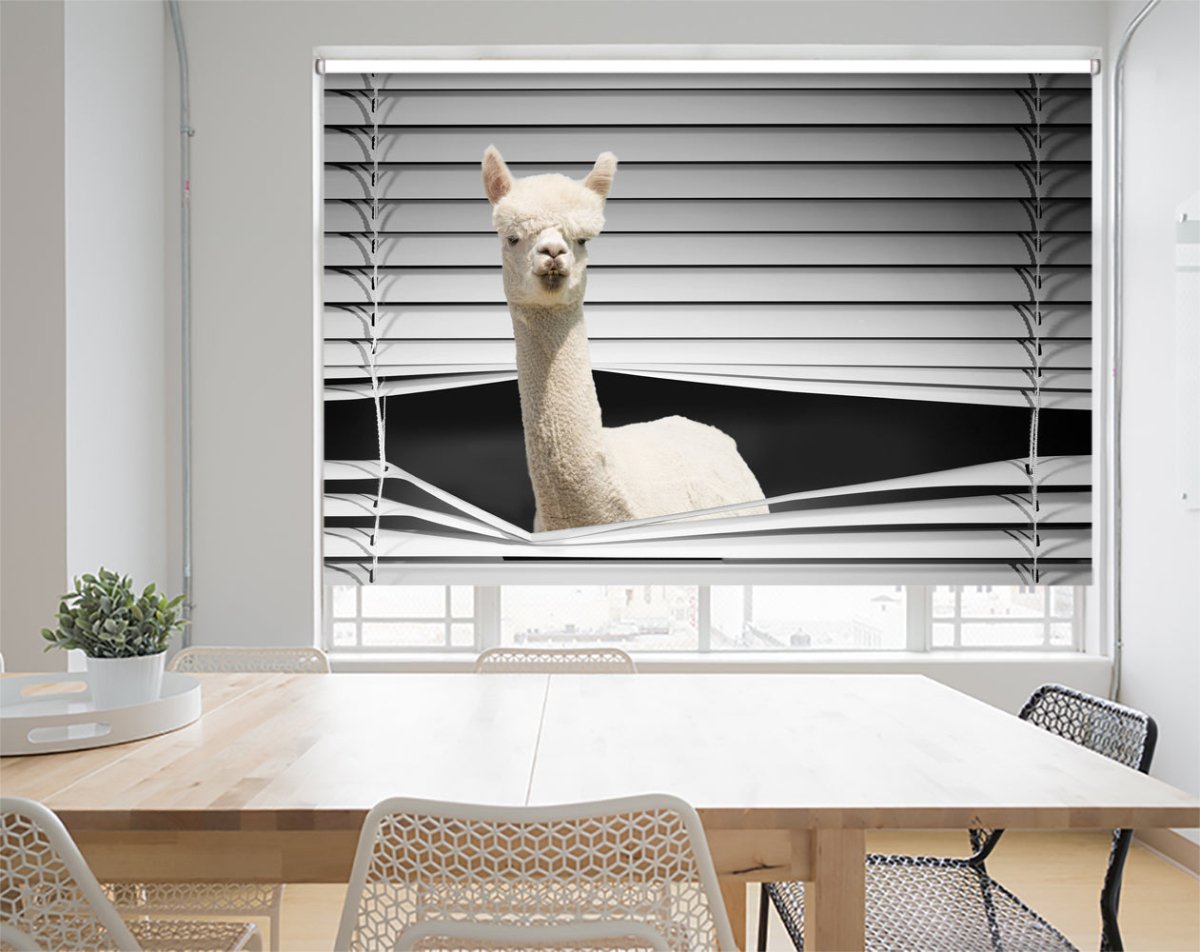 Alpaca Peeking through the blind Printed Picture Photo Roller Blind - RB1285 - Art Fever - Art Fever