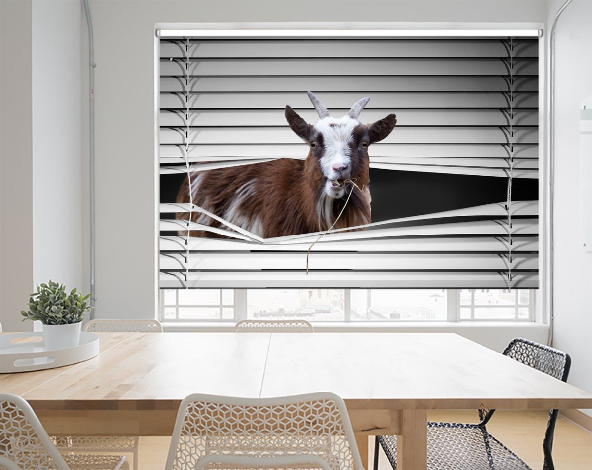 American Pygmy Goat peeking Animal Blind Printed photo Blinds | Window ...
