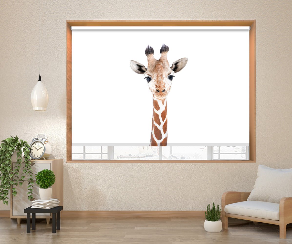 Baby Giraffe peeking Printed Picture Photo Roller Blind - 1X2402457 - Art Fever - Art Fever