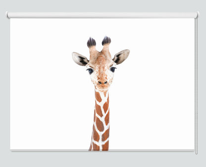 Baby Giraffe peeking Printed Picture Photo Roller Blind - 1X2402457 - Art Fever - Art Fever