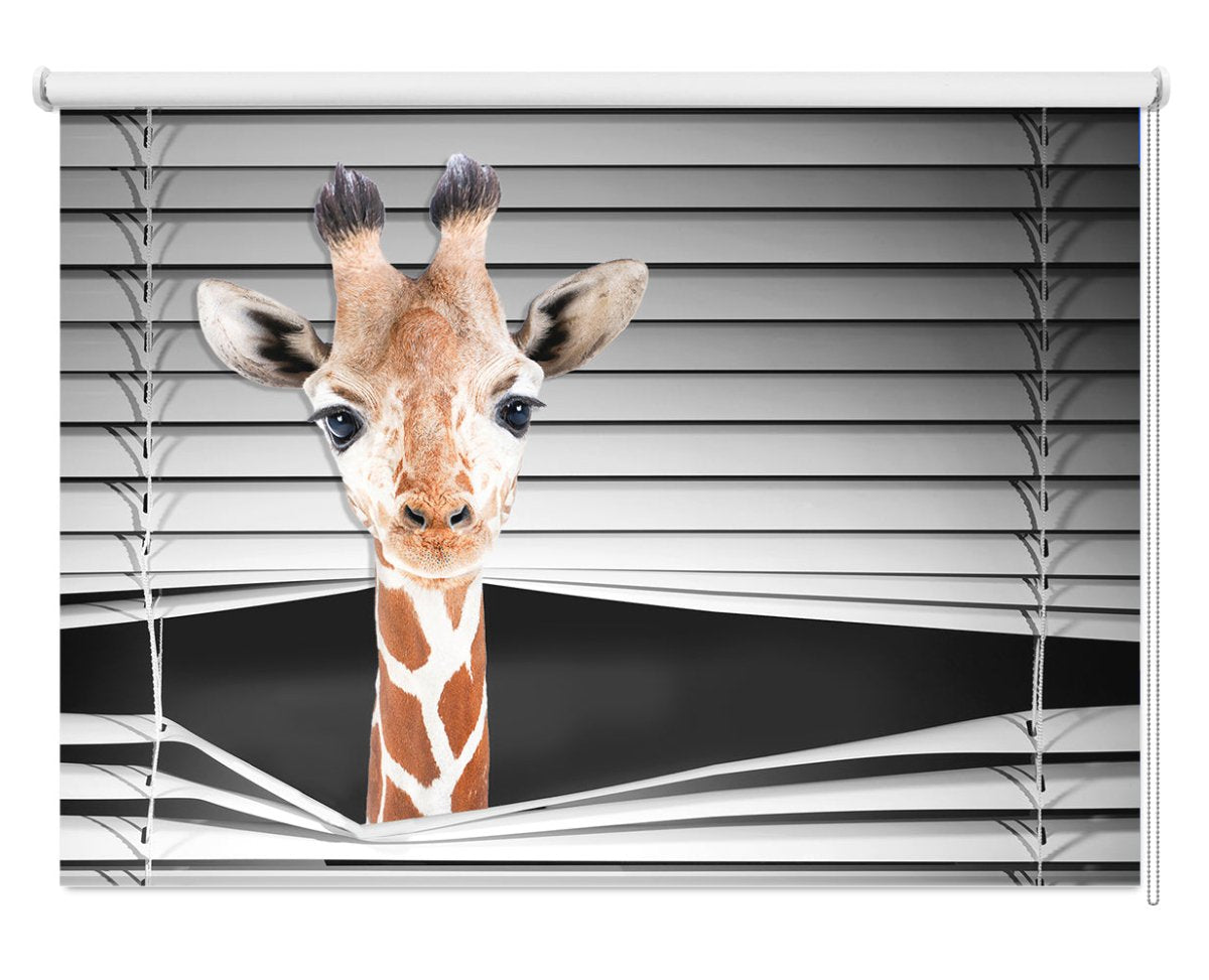 Baby Giraffe Peeking through the blind Printed Picture Photo Roller Blind - RB1290 - Art Fever - Art Fever