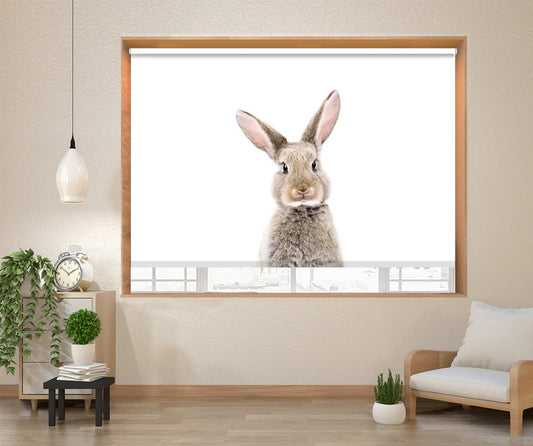 Baby Rabbit Peeking Animal Printed Picture Photo Roller Blind - 1X2402458 - Art Fever - Art Fever