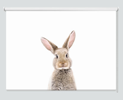 Baby Rabbit Peeking Animal Printed Picture Photo Roller Blind - 1X2402458 - Art Fever - Art Fever