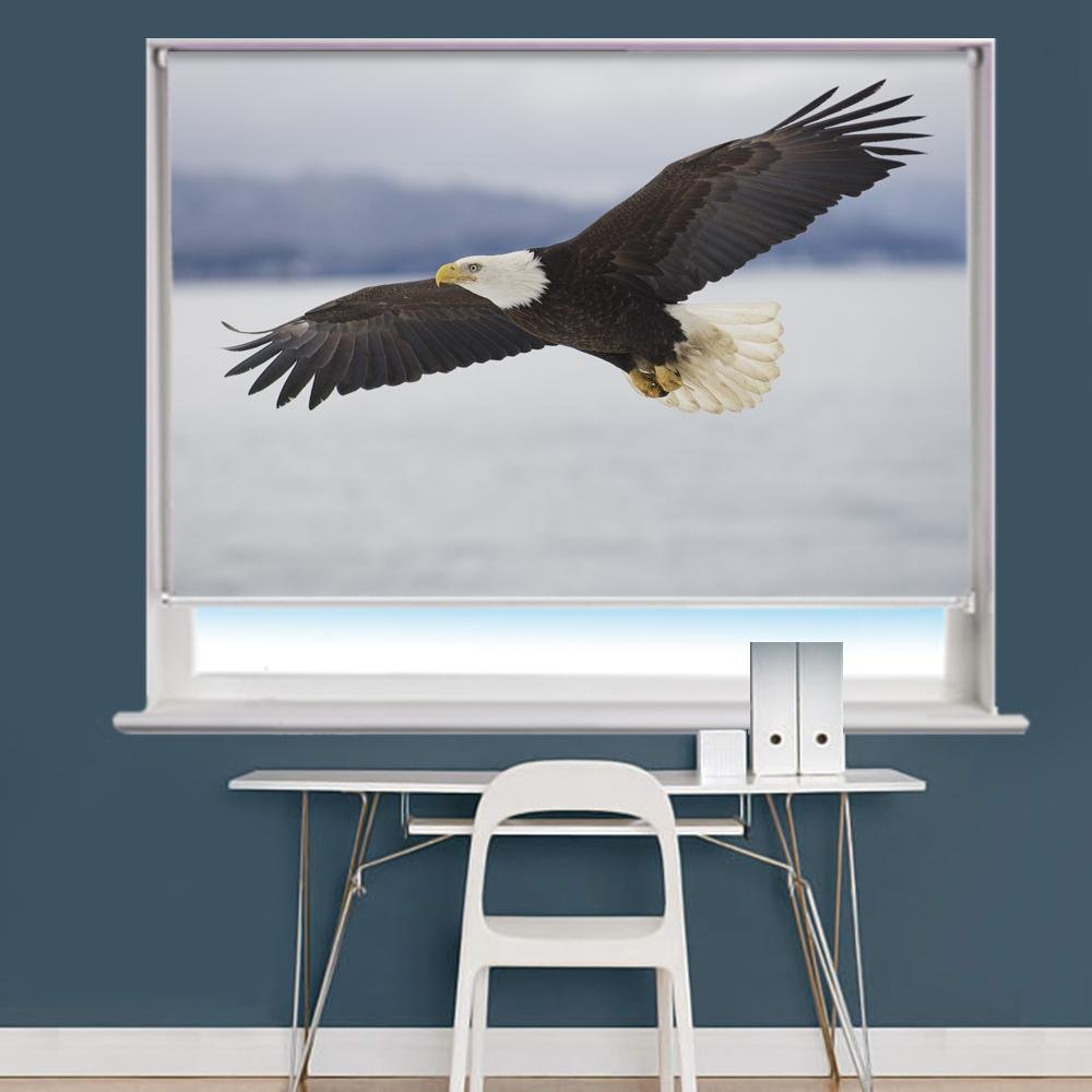 Bald Eagle Image Printed Roller Blind - RB961 - Art Fever - Art Fever