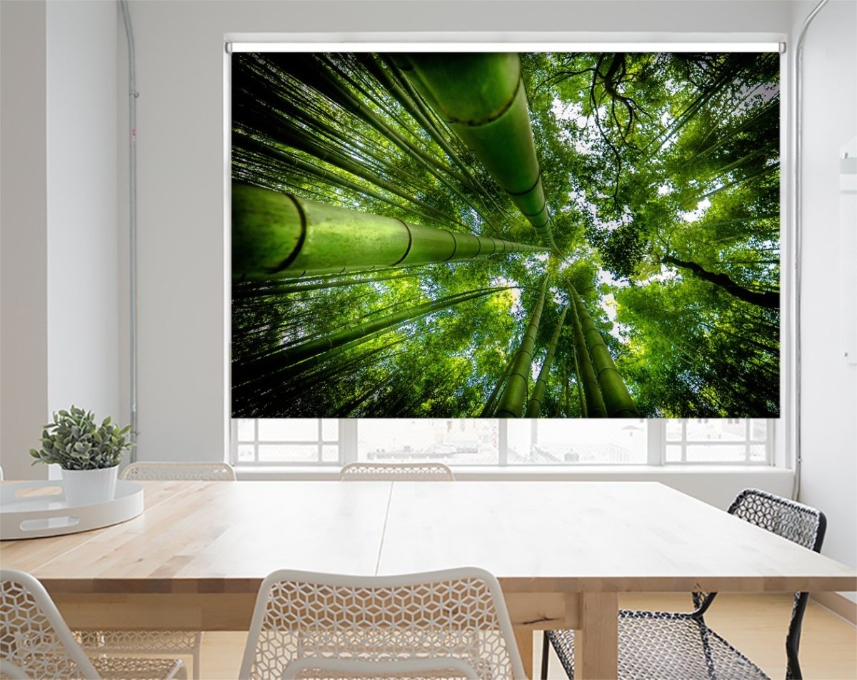 Bamboo Trees of Japan Printed Picture Photo Roller Blind- 1X1266771 - Art Fever - Art Fever