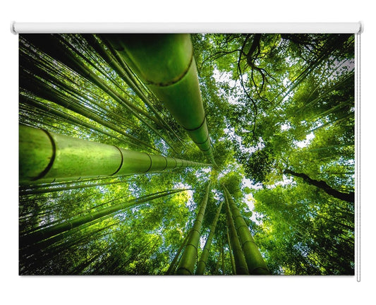 Bamboo Trees of Japan Printed Picture Photo Roller Blind- 1X1266771 - Art Fever - Art Fever